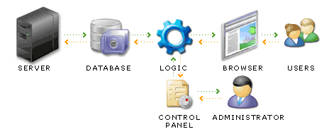 WordPress Development 